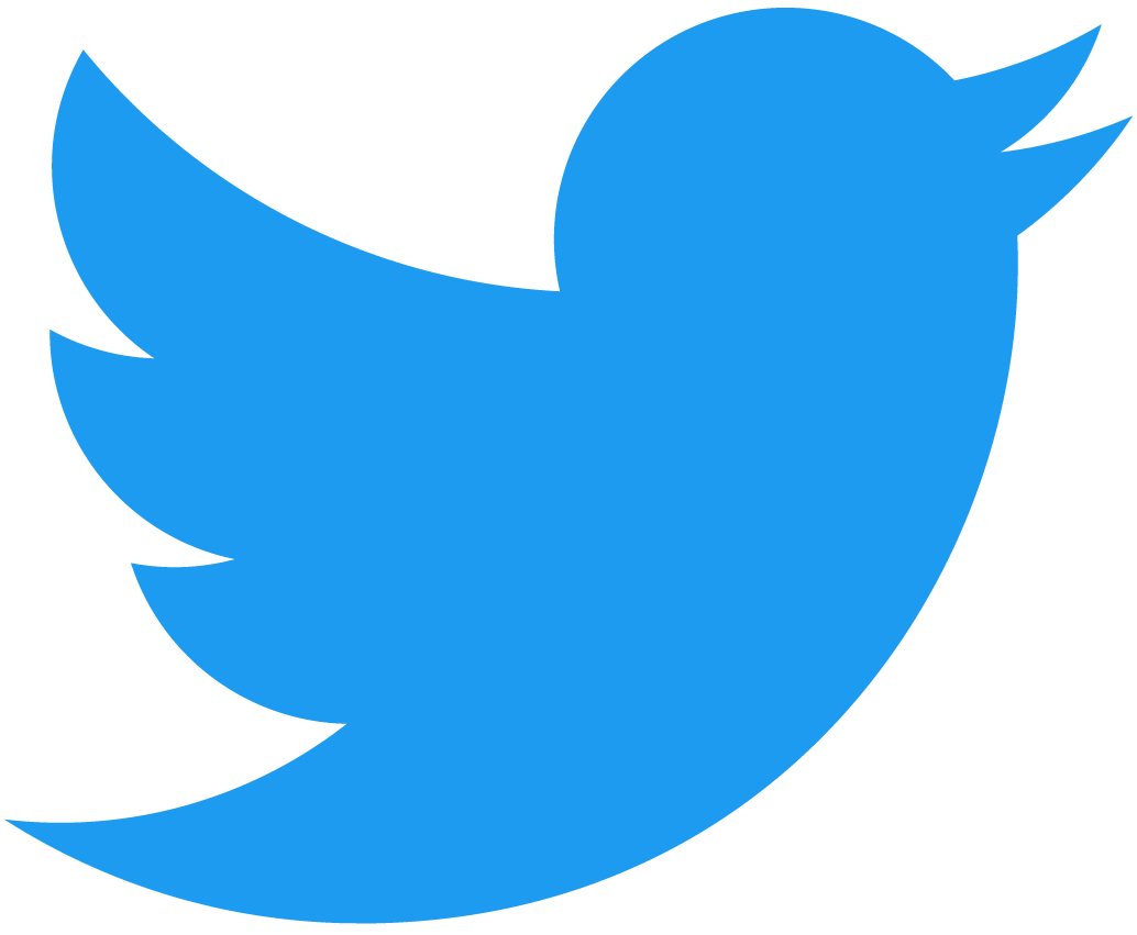 Twitter logo icon